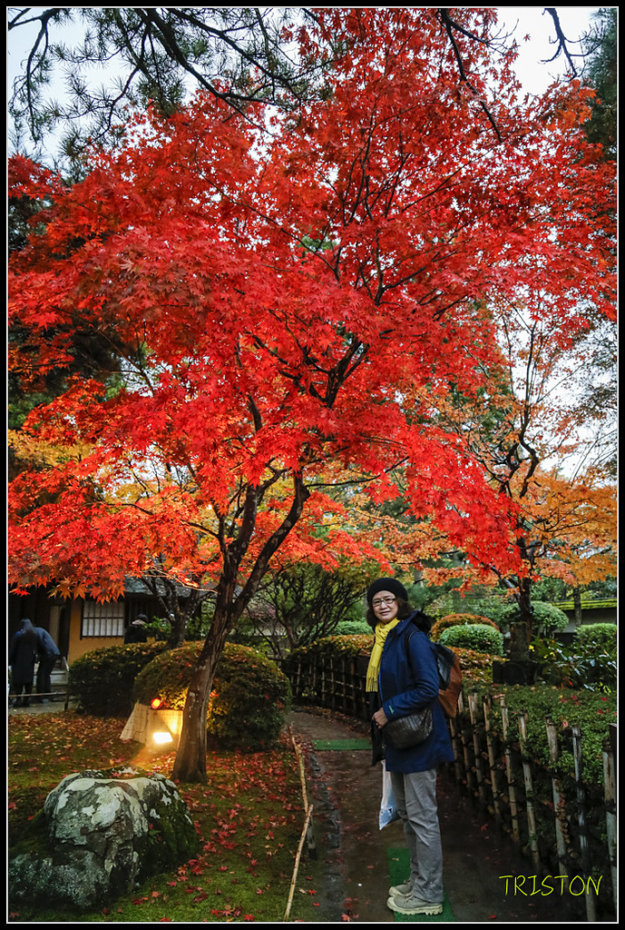 _H1A0950.jpg - 20171103 日本只見線、會津若松五色沼、昭和記念公園賞紅葉
