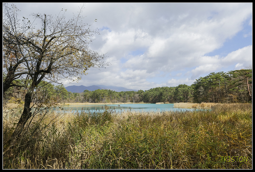 _H1A1292.jpg - 20171103 日本只見線、會津若松五色沼、昭和記念公園賞紅葉