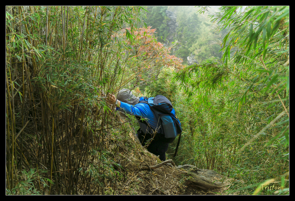 IMG_8744.jpg - 20151017 郡大林道、望鄉山、郡大山