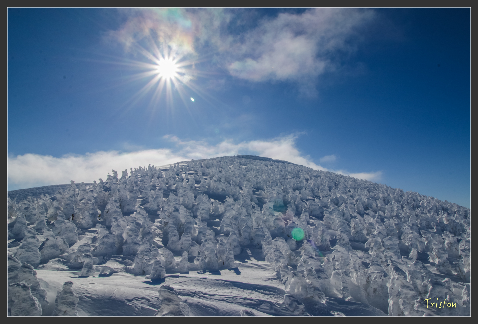 2016ZAO-01671.jpg - 20160131 日本藏王溫泉滑雪親子行