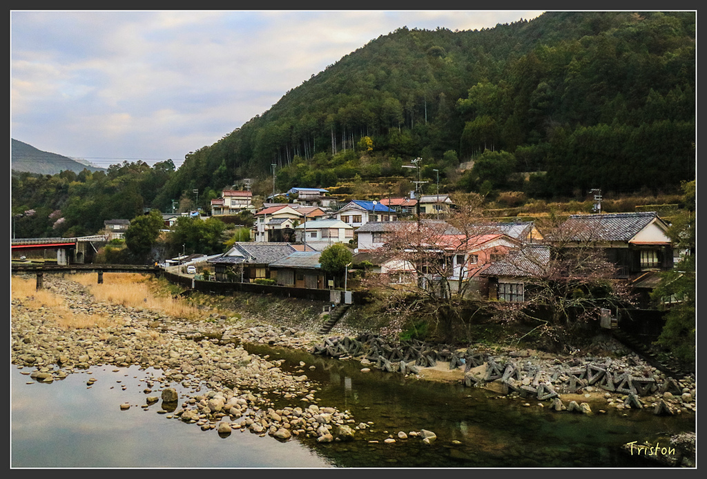 IMG_5293.jpg - 20160323 日本熊野古道健行