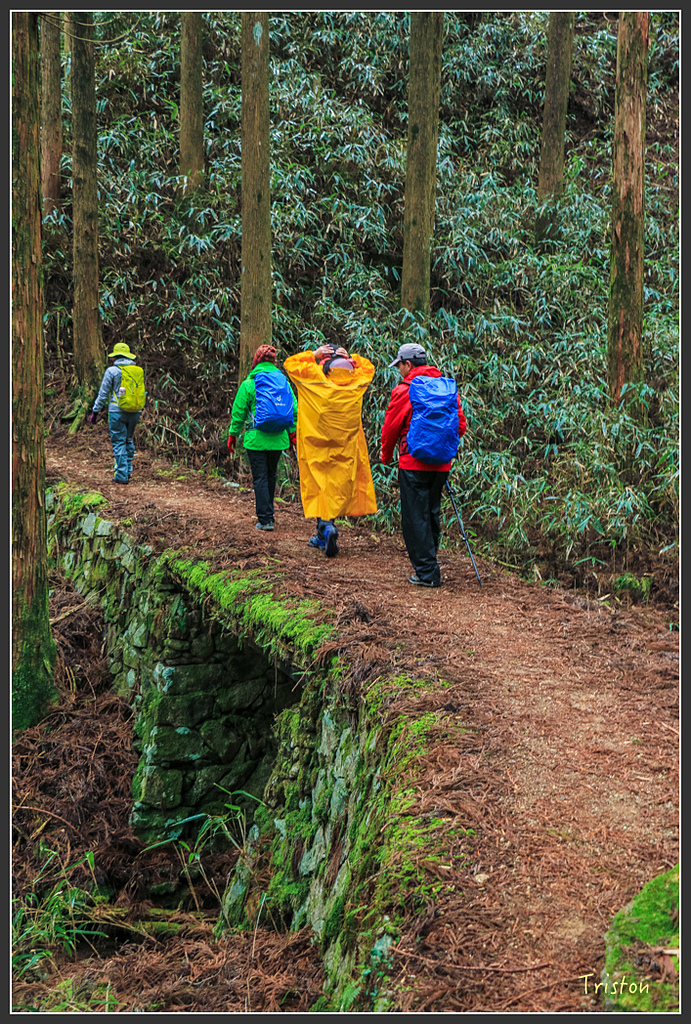 IMG_5541.jpg - 20160323 日本熊野古道健行