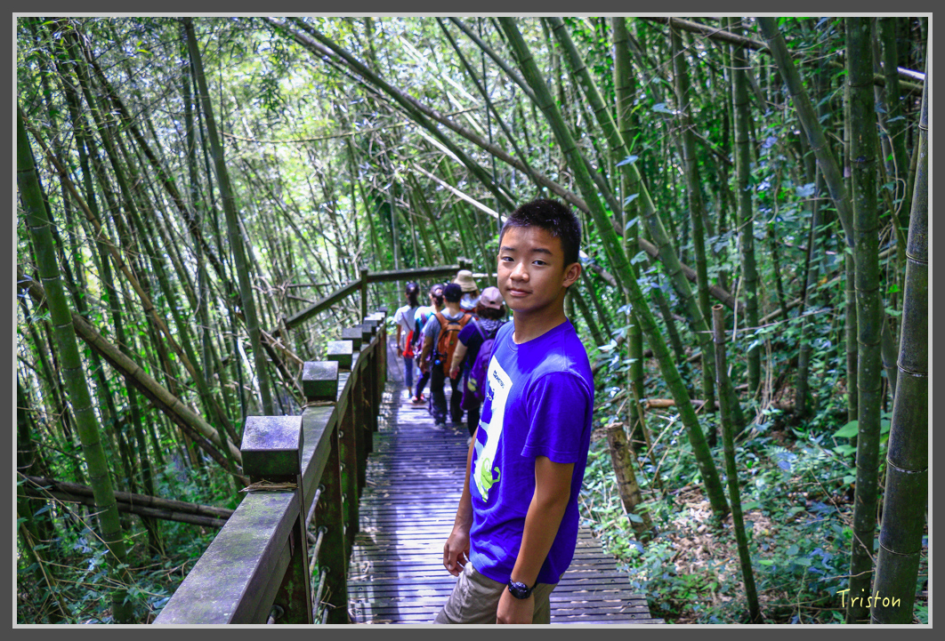 _MG_9080.jpg - 20160716 青年嶺步道