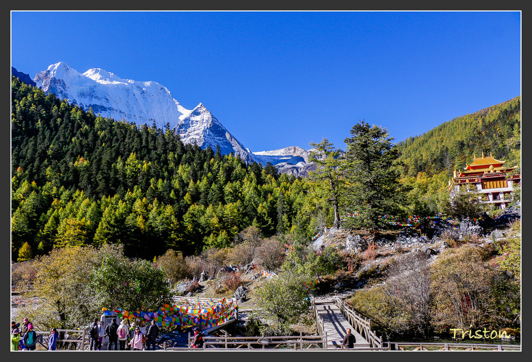 _MG_2015.jpg - 20161013 稻城亞丁