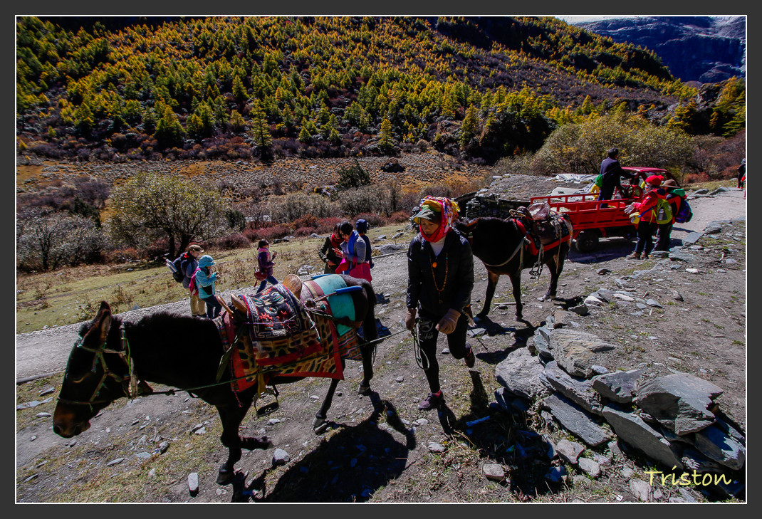 _MG_1736.jpg - 20161013 稻城亞丁