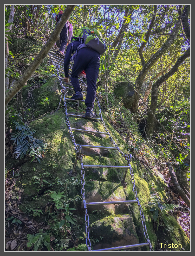 IMG_7030.jpg - 201161113 皇帝殿東西峰