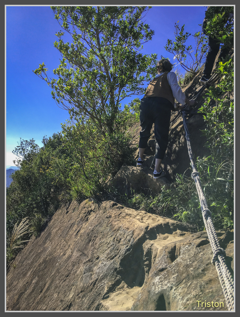 IMG_9230.jpg - 201161113 皇帝殿東西峰