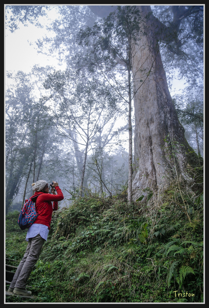 00144.jpg - 20161231 明池 神木園