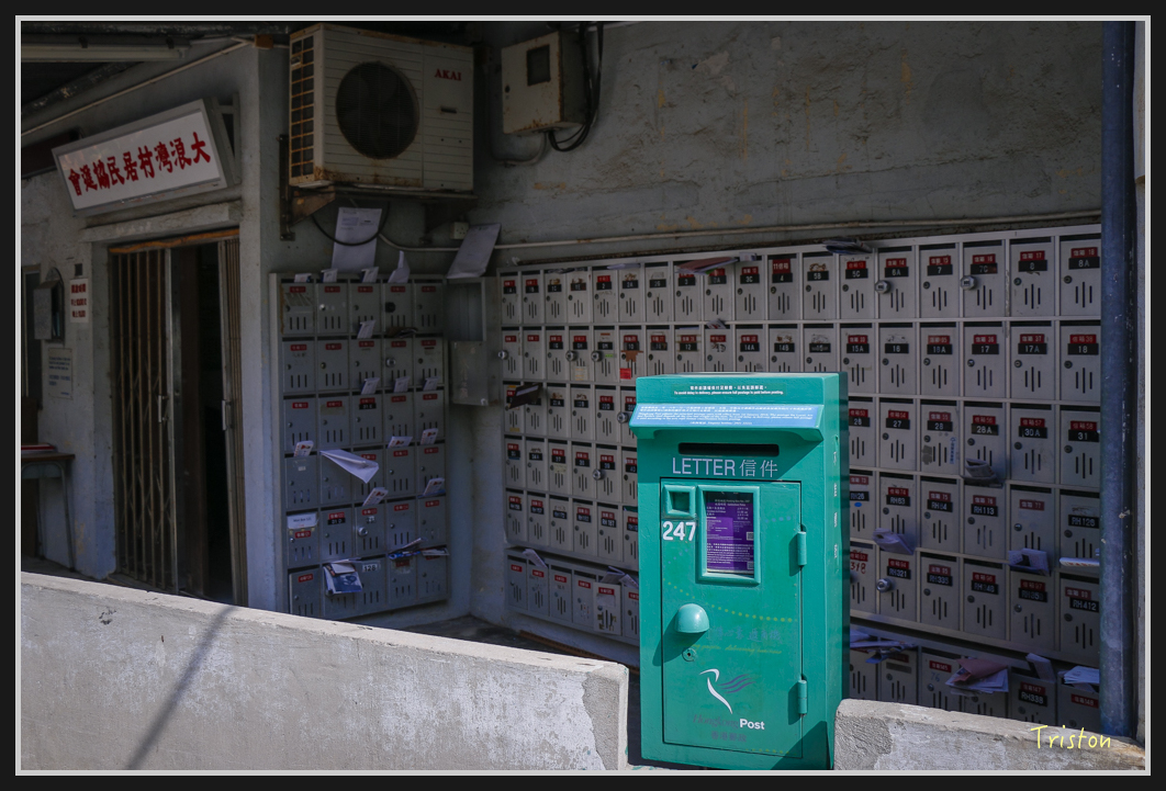 00181.jpg - 20170107 香港健行