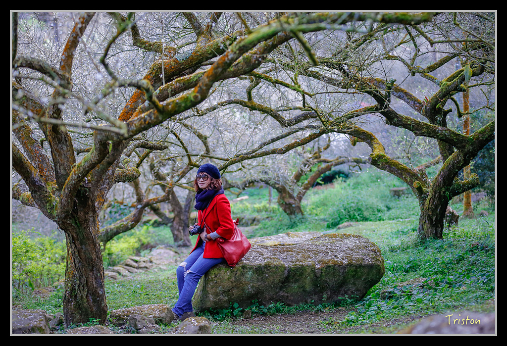 _H1A1446.jpg - 20170117 烏松崙、竹青庭