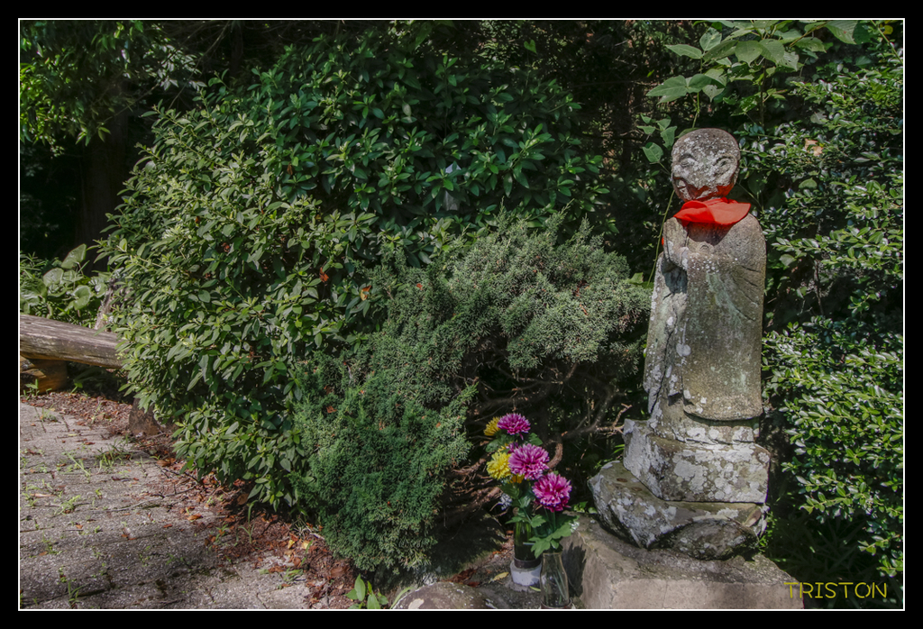 _MG_0118.jpg - 20170702 靜岡東海道之旅