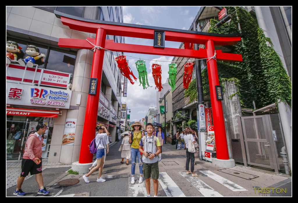 _MG_1569.jpg - 20170702 靜岡東海道之旅