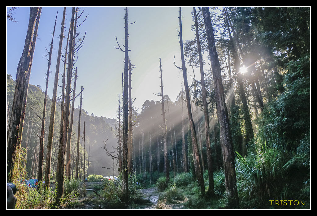_MG_0304.jpg - 20170723 水漾森林