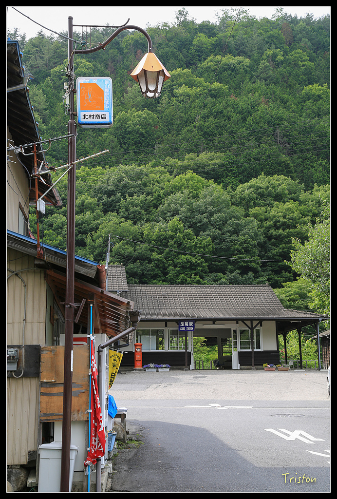 JH1A9903.jpg - 20150628 東京輕井澤日光