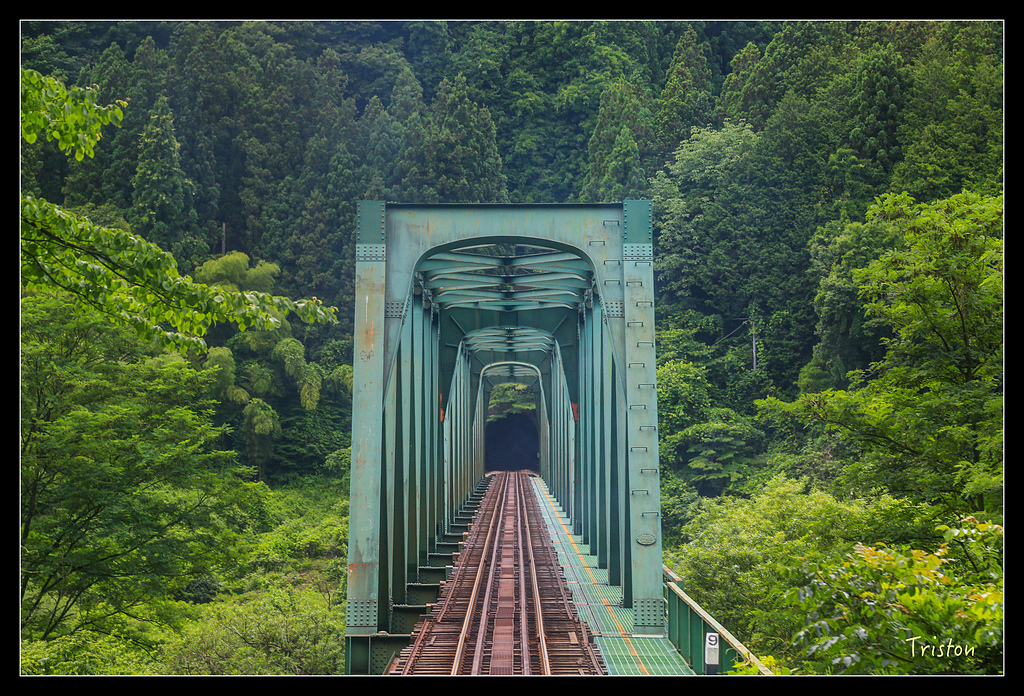 JH1A9831.jpg - 20150628 東京輕井澤日光