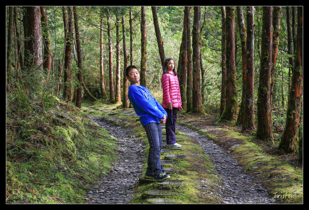 JH1A0137.jpg - 20151024~25 幾米公園、翠峰湖、翠峰山屋、望洋山步道、山毛櫸步道