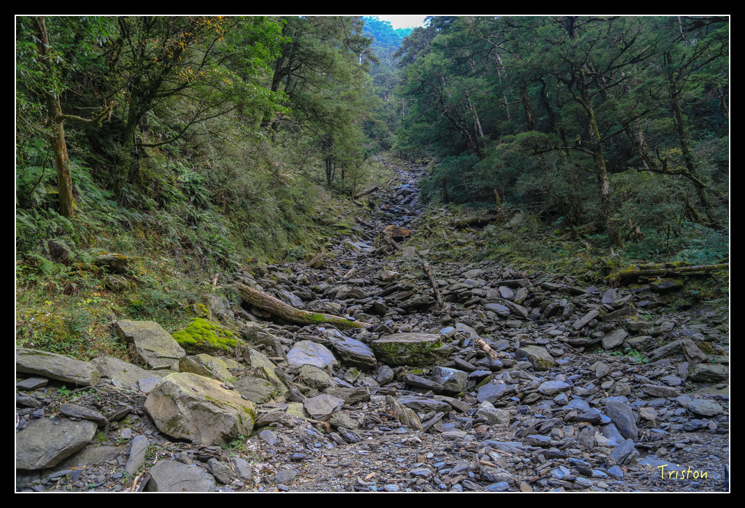 JH1A0808.jpg - 20151205 合歡溪步道、108K楓之谷