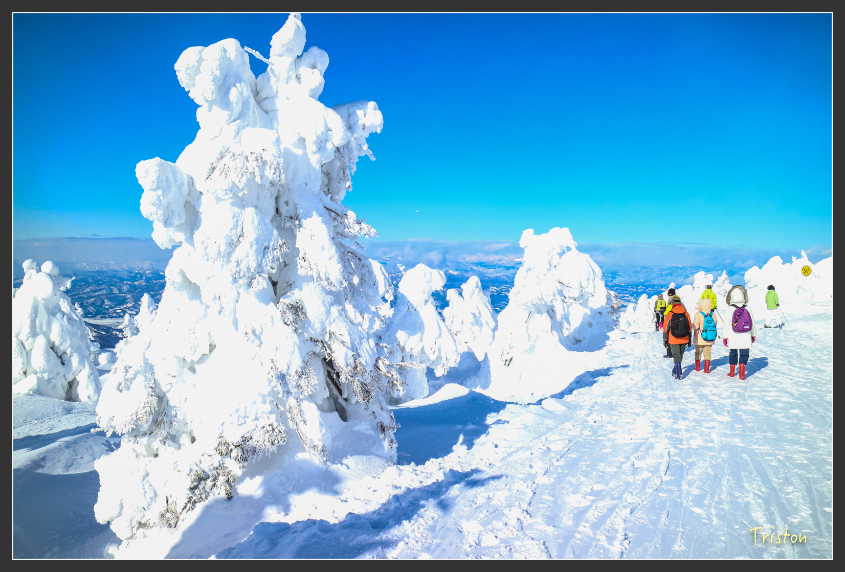 2016ZAO-01616.jpg - 20160131 日本藏王溫泉滑雪親子行