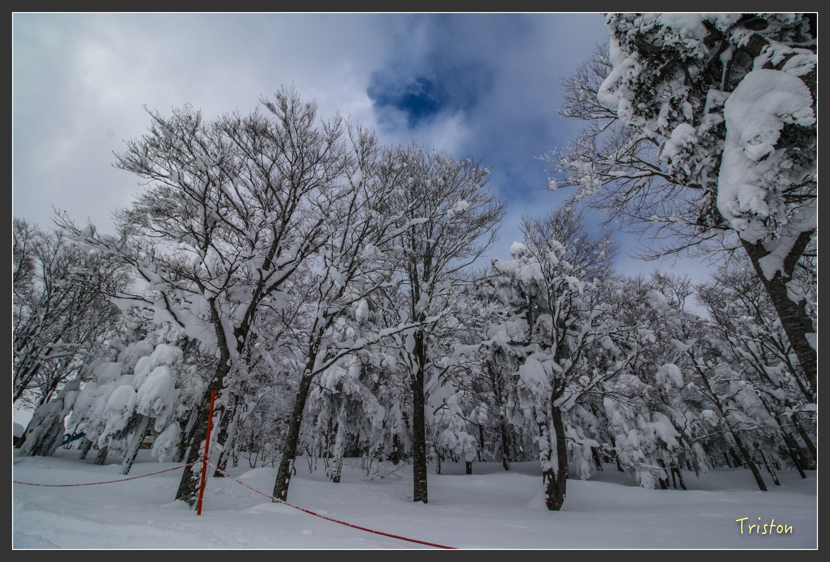 2016ZAO-01767.jpg - 20160131 日本藏王溫泉滑雪親子行