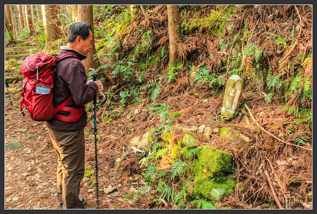 IMG_5328.jpg - 20160323 日本熊野古道健行
