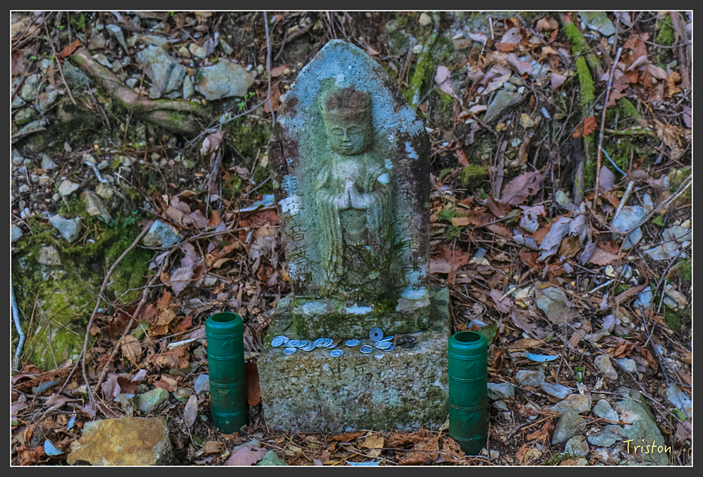 IMG_4675.jpg - 20160323 日本熊野古道健行