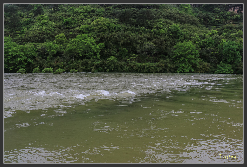 IMG_6761.jpg - 20160409 武夷山之旅