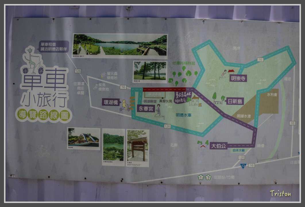 _MG_8841.jpg - 20160712 苗栗薰衣草森林