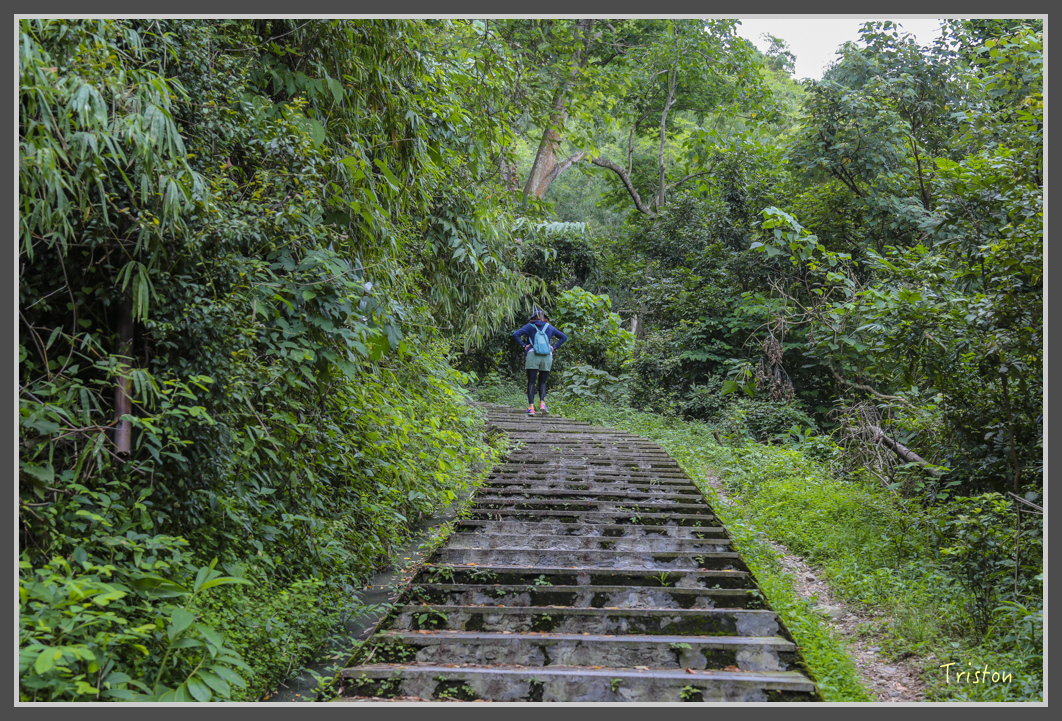 JH1A1868.jpg - 20160725 大津瀑布