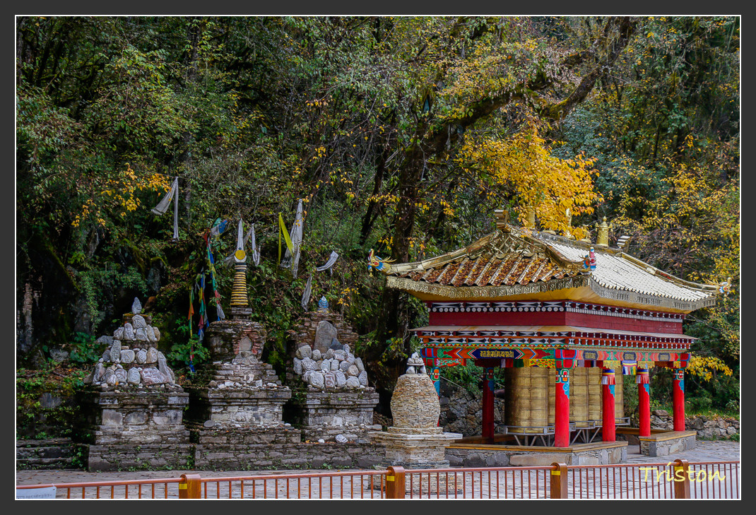 _MG_2705.jpg - 20161013 稻城亞丁