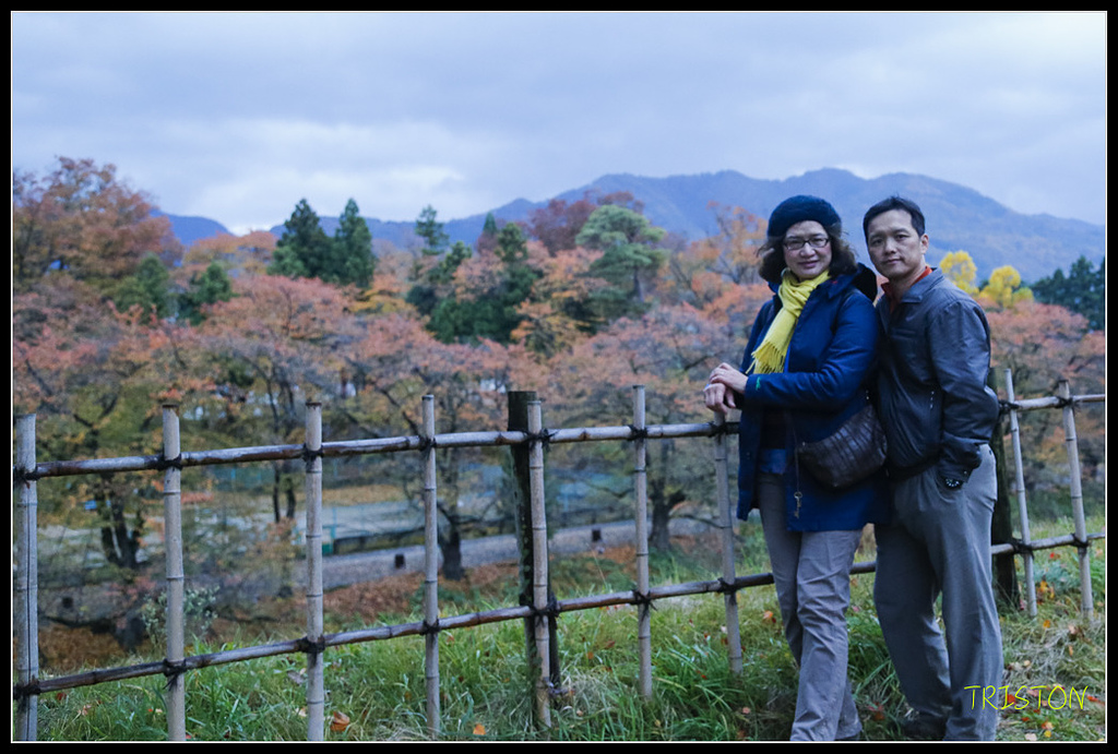 _H1A0993.jpg - 20171103 日本只見線、會津若松五色沼、昭和記念公園賞紅葉