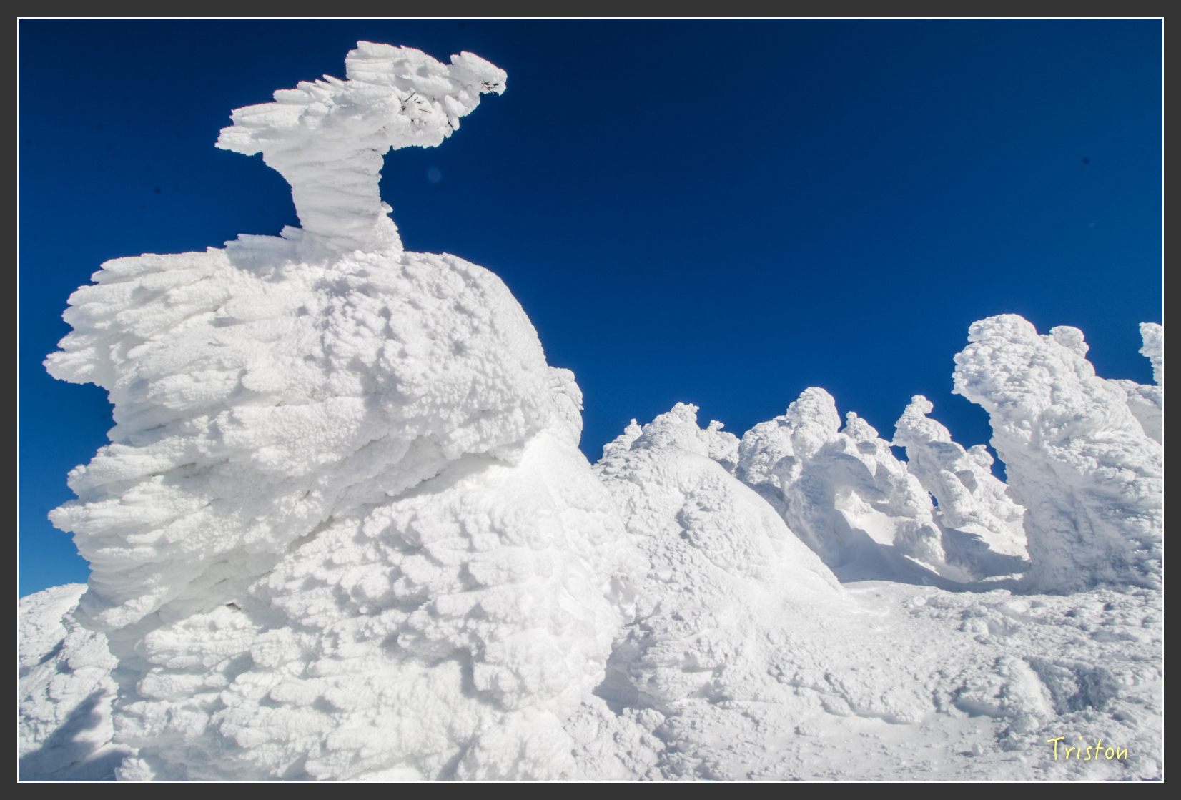 2016ZAO-01617.jpg - 20160131 日本藏王溫泉滑雪親子行