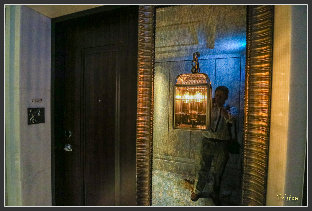 IMG_1677.jpg - 20160210 文華東方和W Hotel