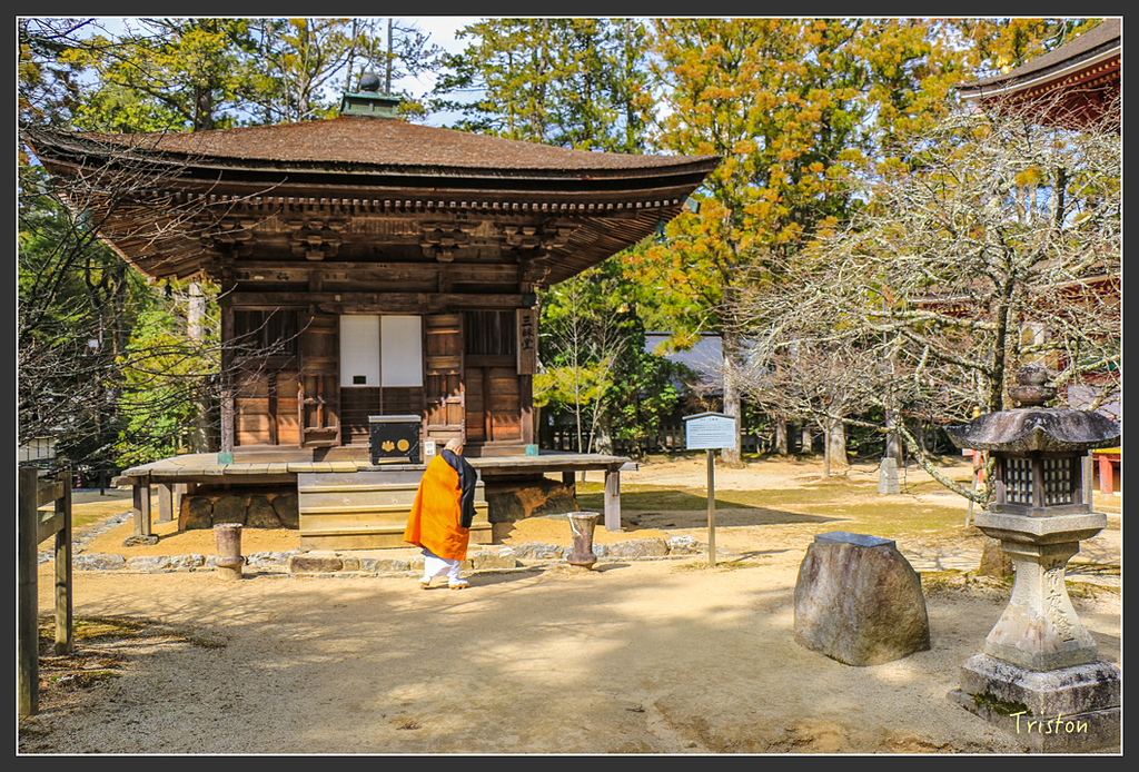 IMG_4539.jpg - 20160323 日本熊野古道健行