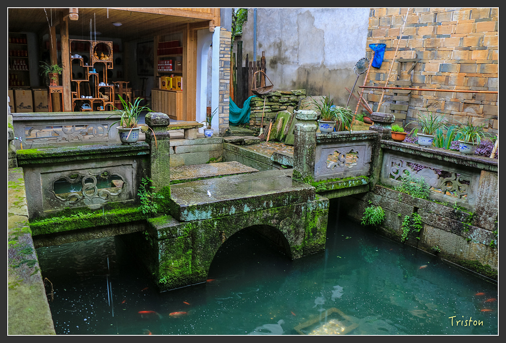 IMG_6712.jpg - 20160409 武夷山之旅