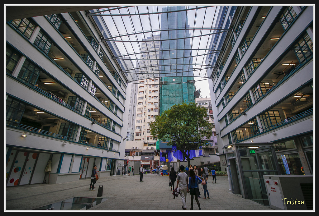 00215.jpg - 20170107 香港健行