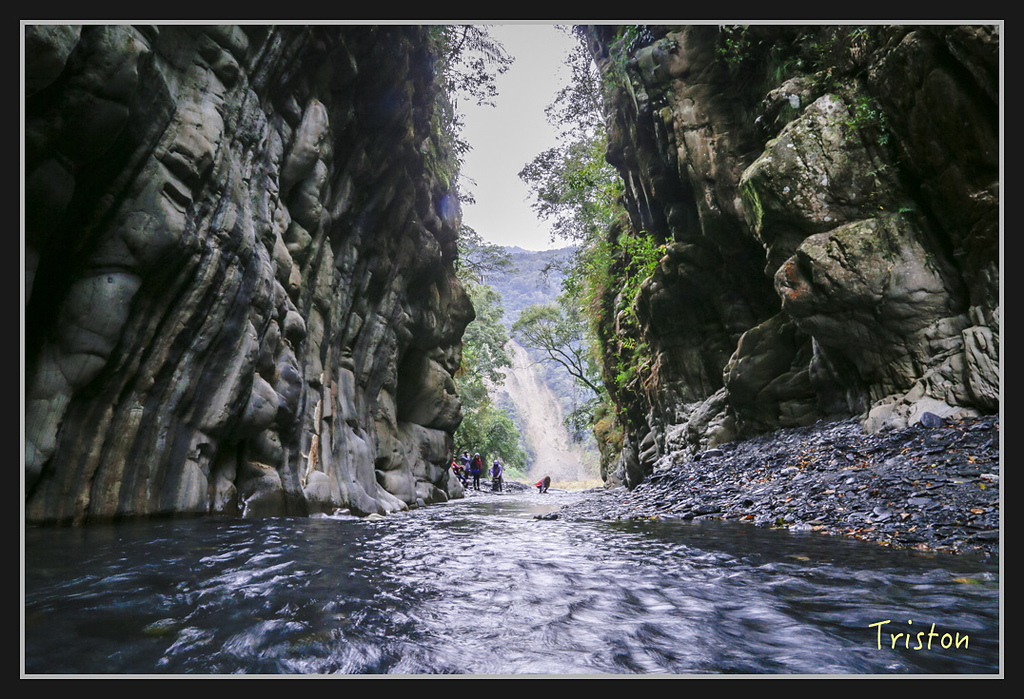 _H1A1915.jpg - 20170212 武界 萬大電廠 奧萬大