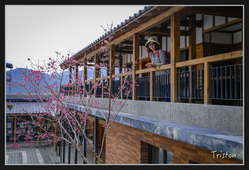 _H1A2495.jpg - 20170311 草嶺