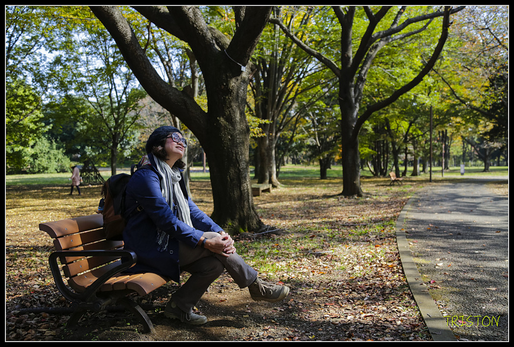 _H1A1780.jpg - 20171103 日本只見線、會津若松五色沼、昭和記念公園賞紅葉