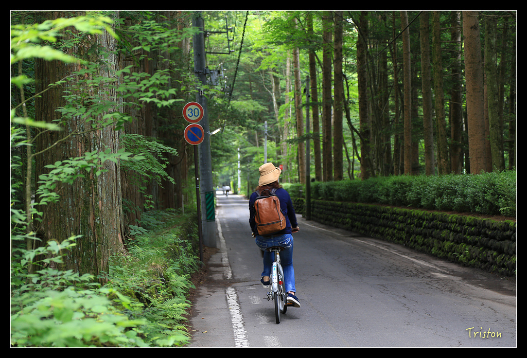 JH1A9330.jpg - 20150628 東京輕井澤日光
