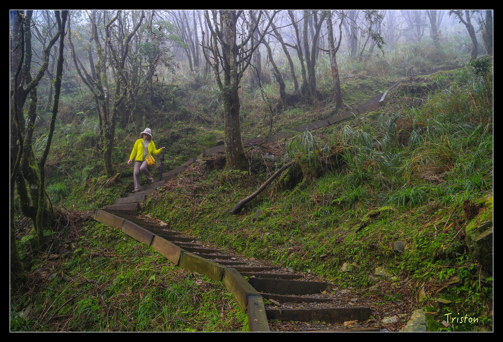 JH1A0167.jpg - 20151024~25 幾米公園、翠峰湖、翠峰山屋、望洋山步道、山毛櫸步道