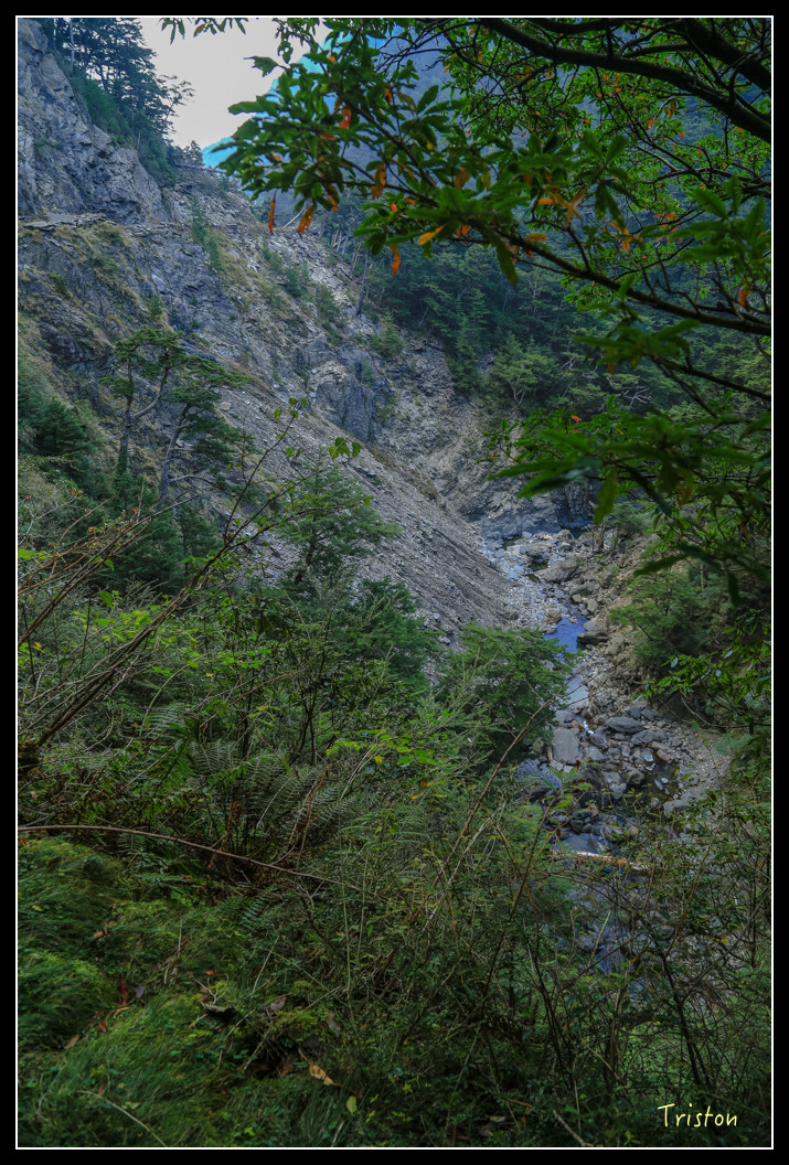 JH1A0821.jpg - 20151205 合歡溪步道、108K楓之谷