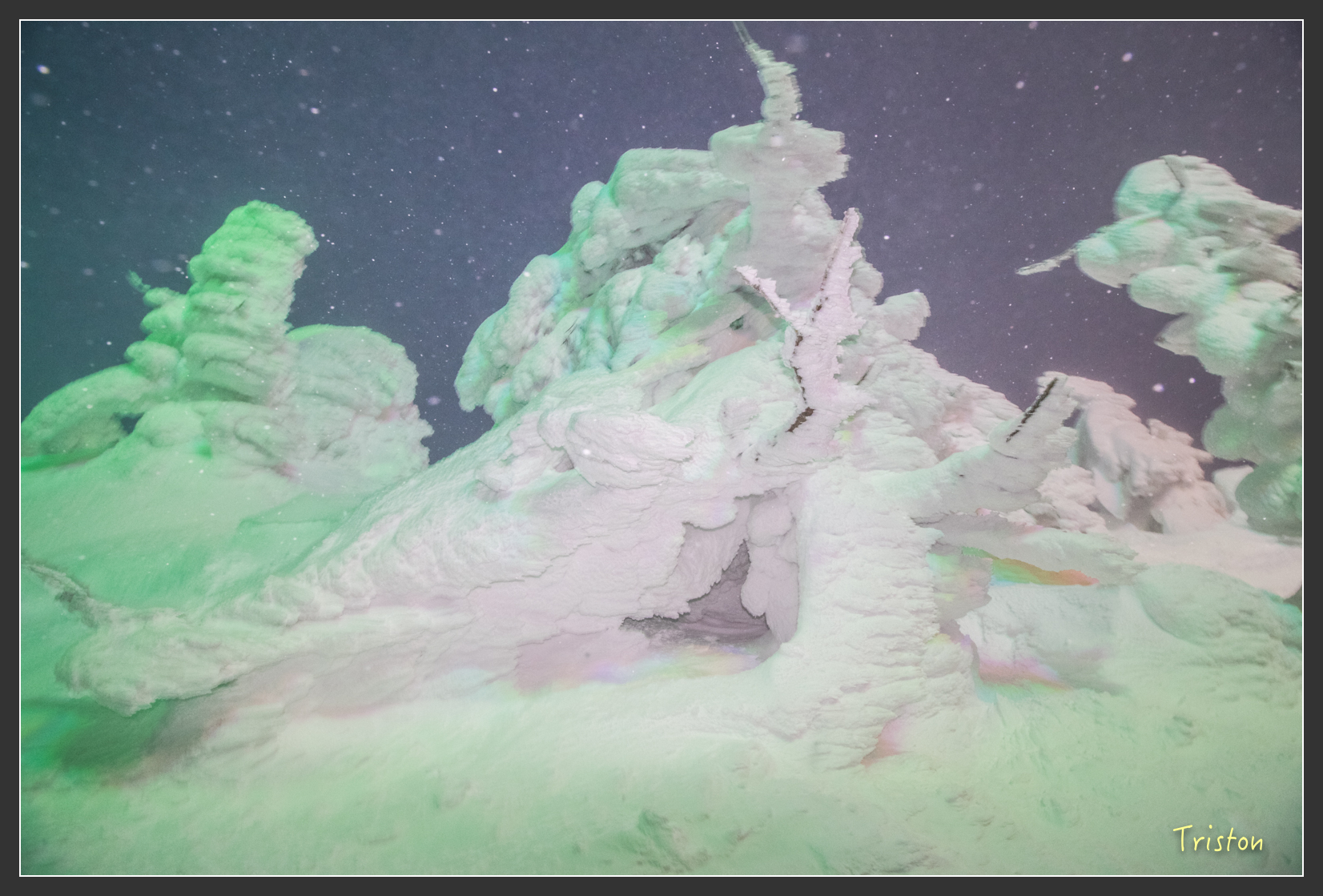 2016ZAO-00921.jpg - 20160131 日本藏王溫泉滑雪親子行