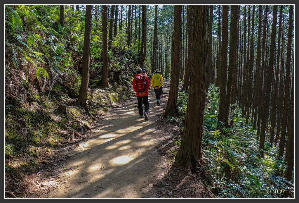 IMG_4849.jpg - 20160323 日本熊野古道健行