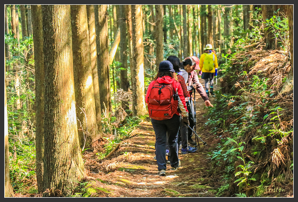 IMG_5187.jpg - 20160323 日本熊野古道健行