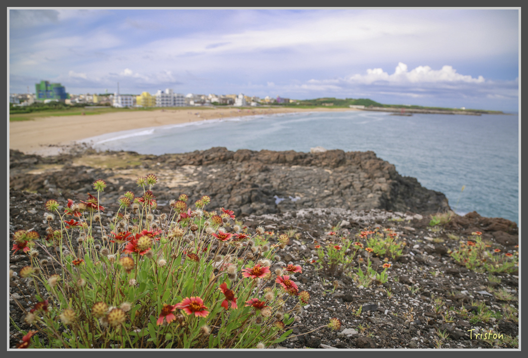 JH1A1147.jpg - 20160701 澎湖