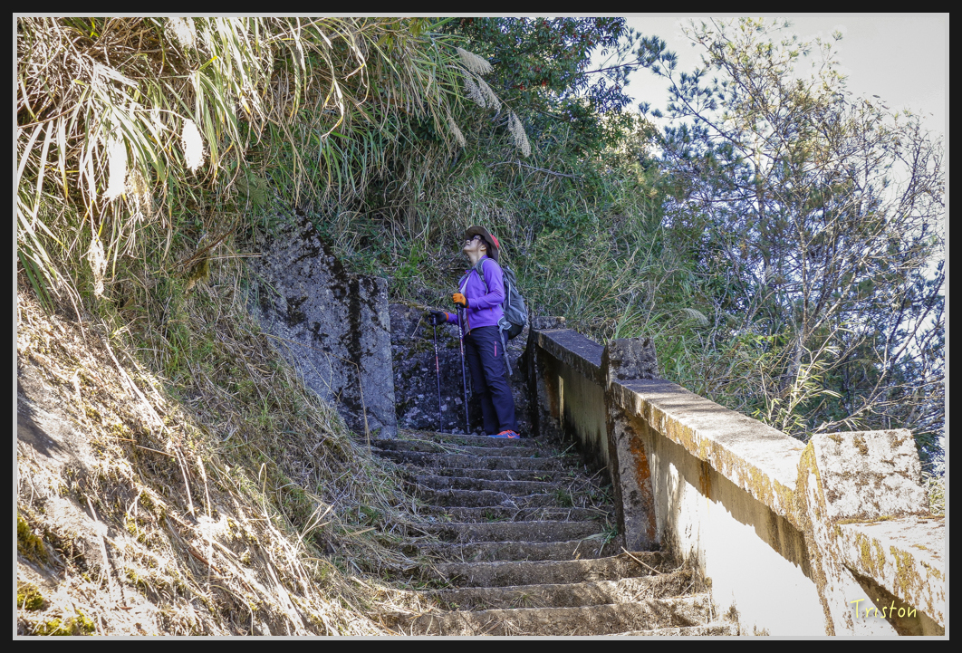 _MG_0109.jpg - 20161226 大塔山