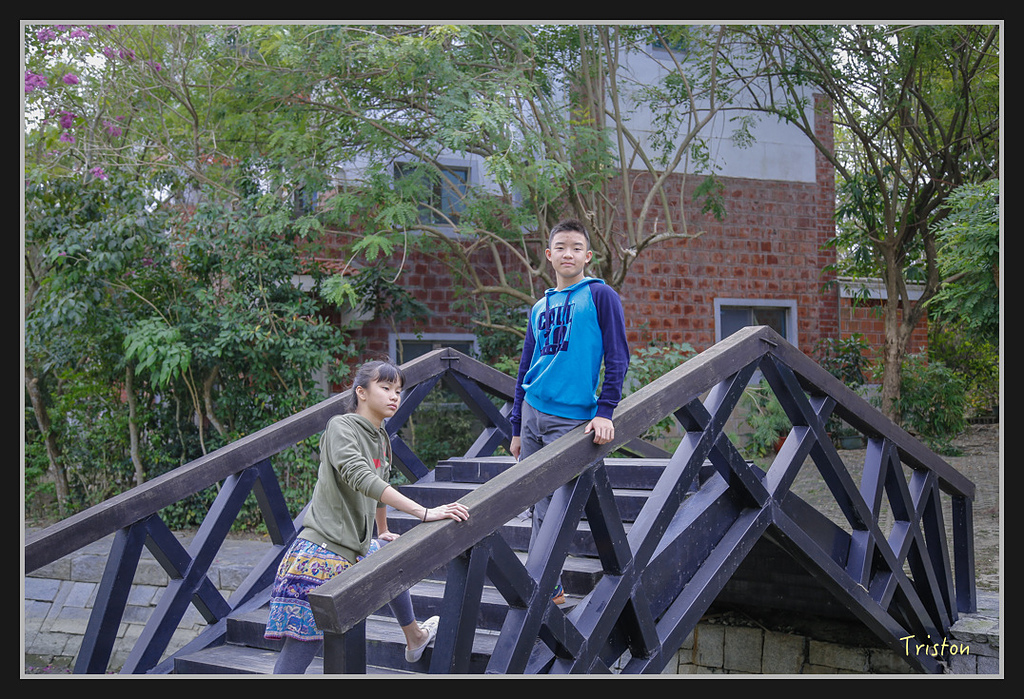 _H1A1841.jpg - 20170130 南藝大走春