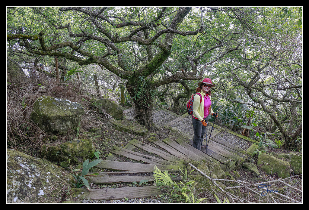 _MG_0066.jpg - 20170429 關仔嶺雞籠山