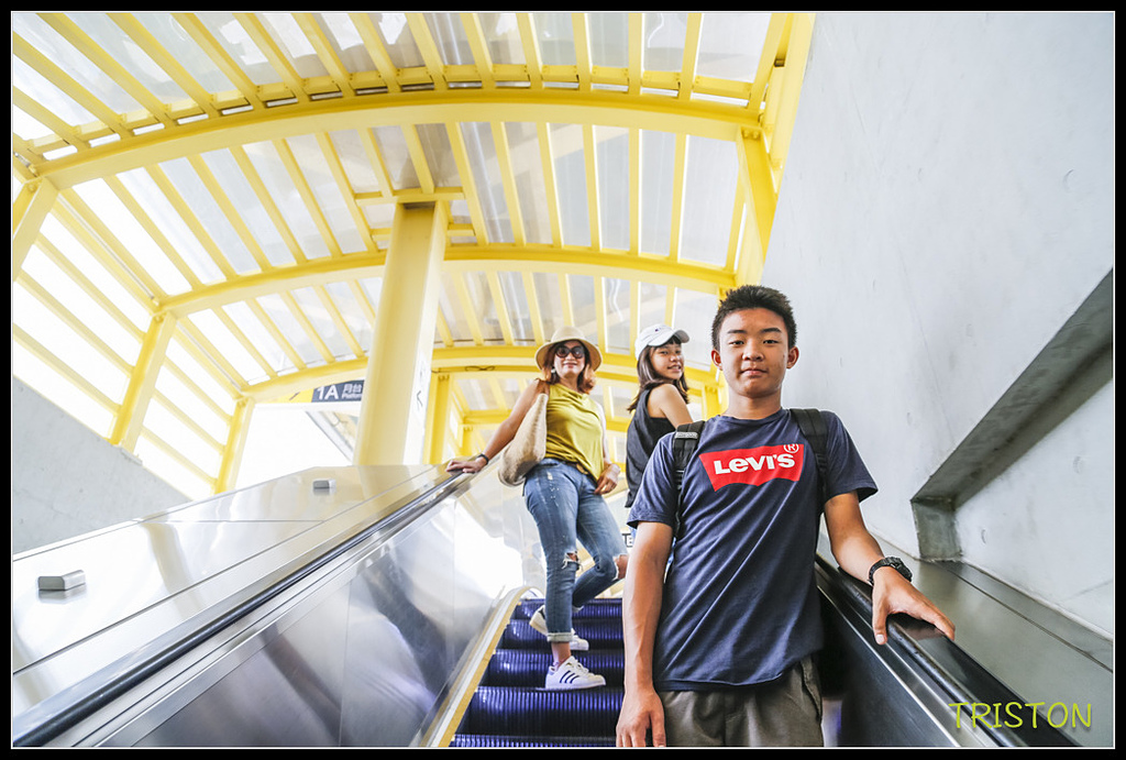 _H1A8085.jpg - 20171004 3671次藍皮普通車+鎮安車站