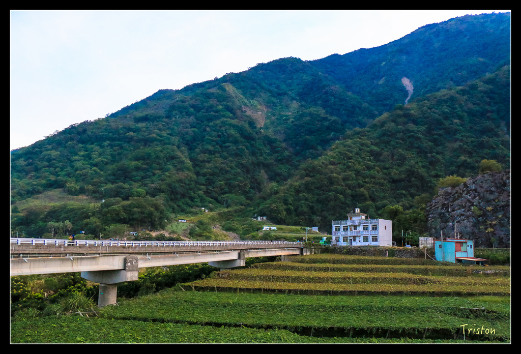 IMG_8563.jpg - 20151017 郡大林道、望鄉山、郡大山